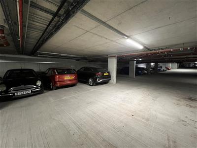 Picture 20